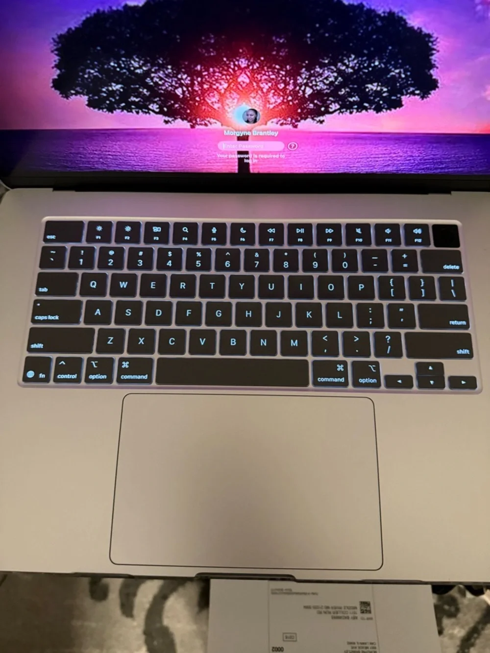 Apple Silver MacBook Air - 15”